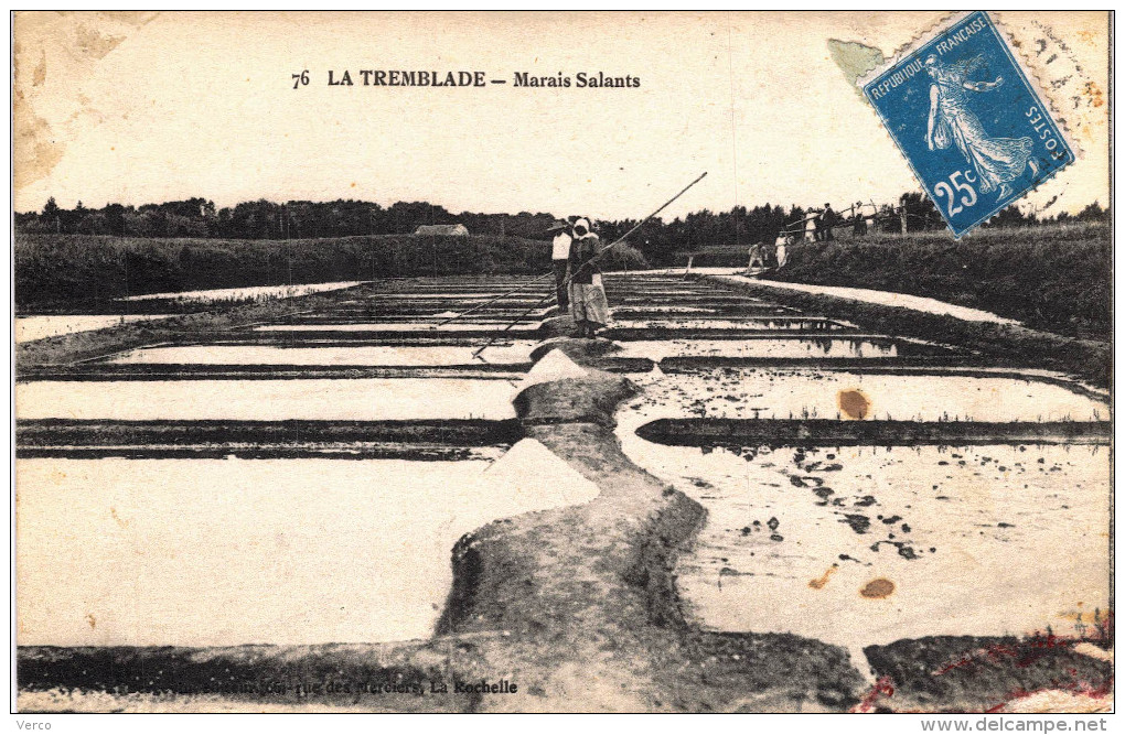 Carte Postale Ancienne de LA TREMBLADE