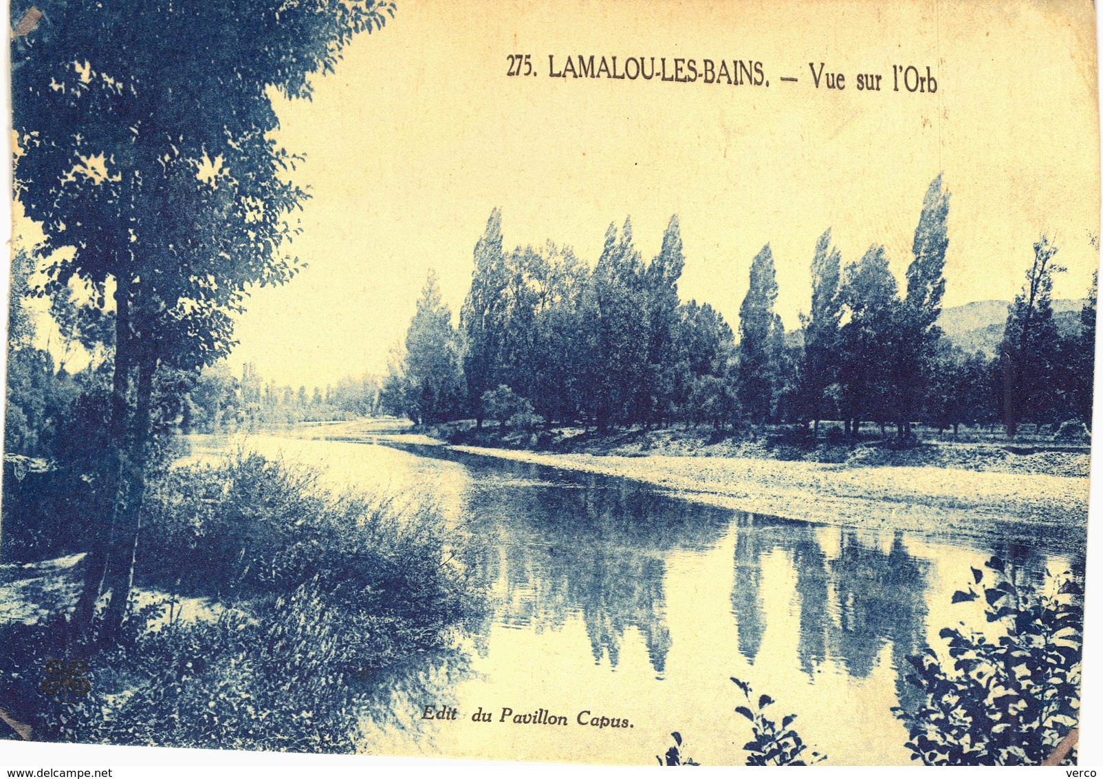 Carte postale ancienne de LAMALOU les BAINS