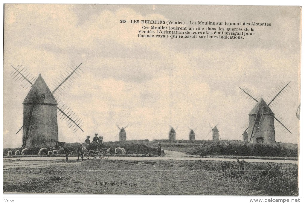 Carte Postale Ancienne de : LES HERBIERS