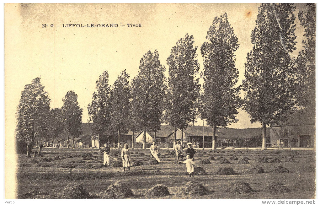 Carte Postale Ancienne de LIFFOL le GRAND