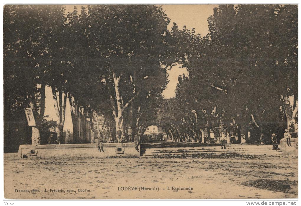 Carte Postale Ancienne de LODEVE