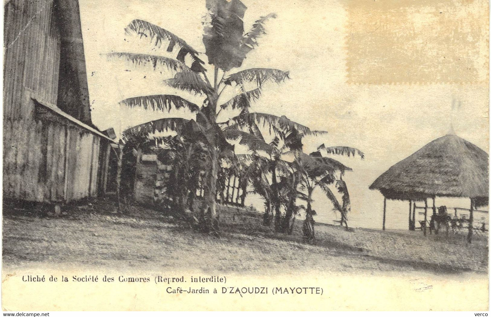 Carte POSTALE  Ancienne  de  MAYOTTE - D'ZAOUDZI, Café Jardin