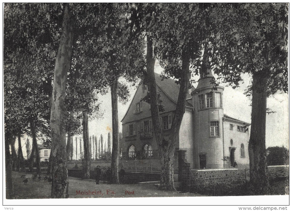 Carte Postale Ancienne de MOLSHEIM