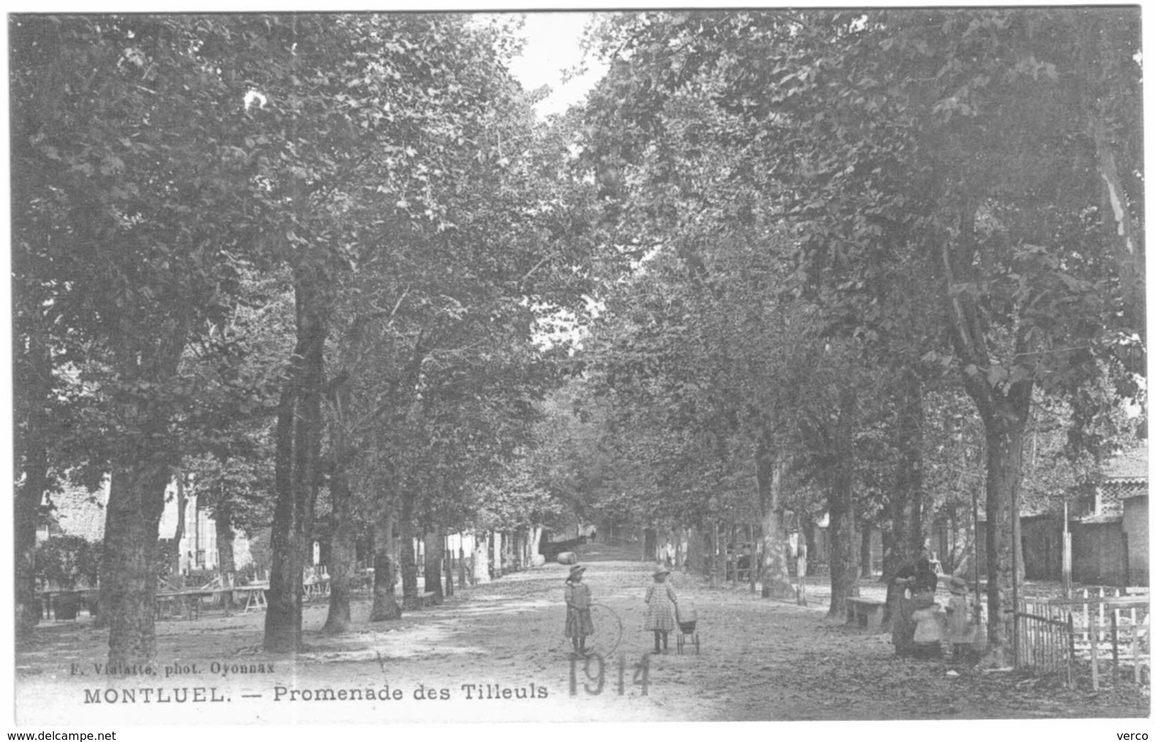 Carte Postale Ancienne de MONTLUEL-promenade des tilleuls