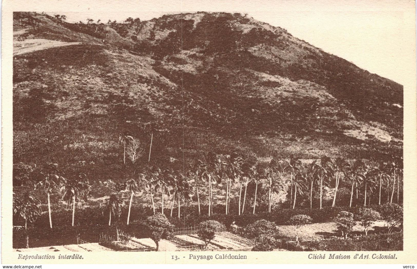 Carte POSTALE  Ancienne  de  NOUVELLE CALEDONIE - Paysages