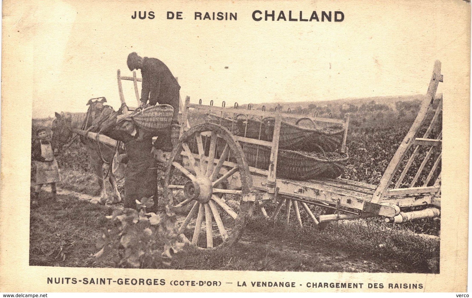 Carte POSTALE Ancienne de   NUITS Saint GEORGES - Jus de raisin CHALLAND