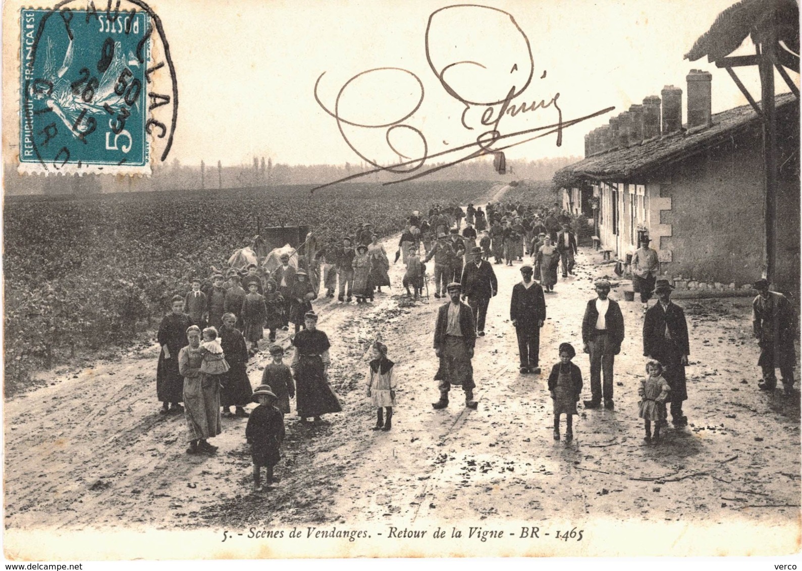 Carte POSTALE Ancienne  de PAUILLAC - Scéne de vendanges, retour de la vigne