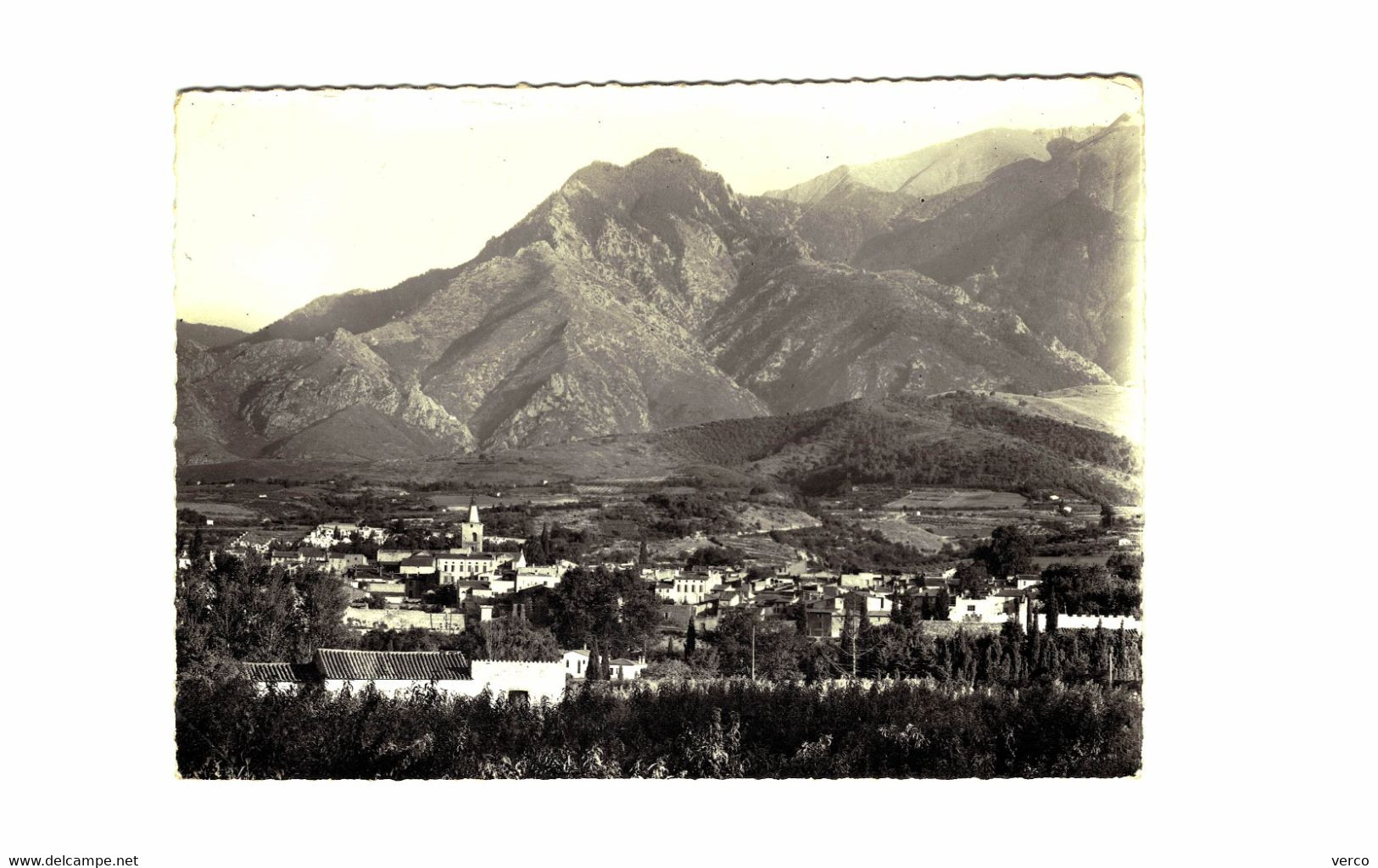 Carte POSTALE  Ancienne  de PRADES