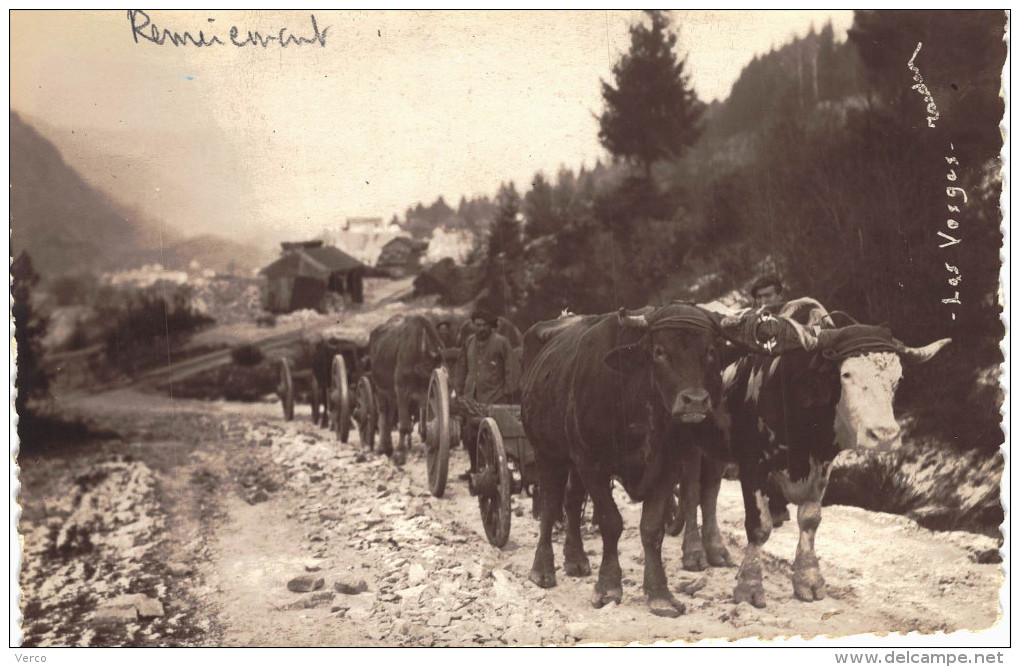 Carte Postale Ancienne de REMIREMONT