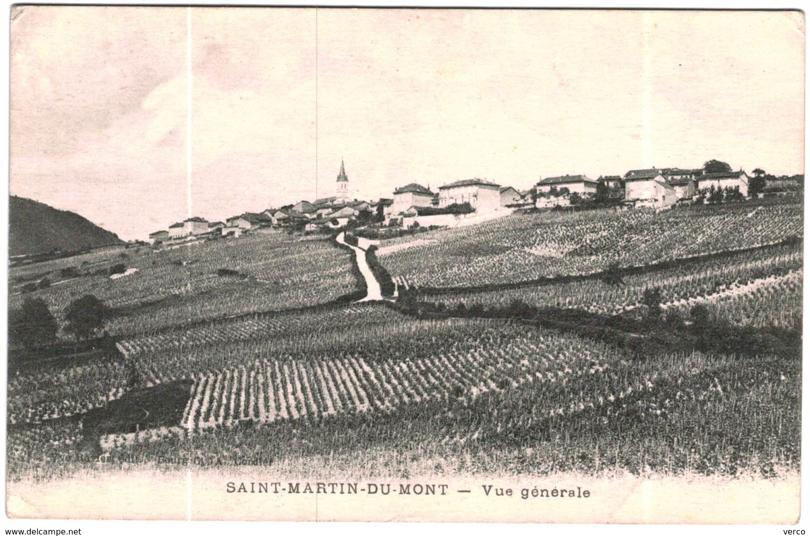 Carte Postale Ancienne de SAINT MARTIN DU MONT-vue générale