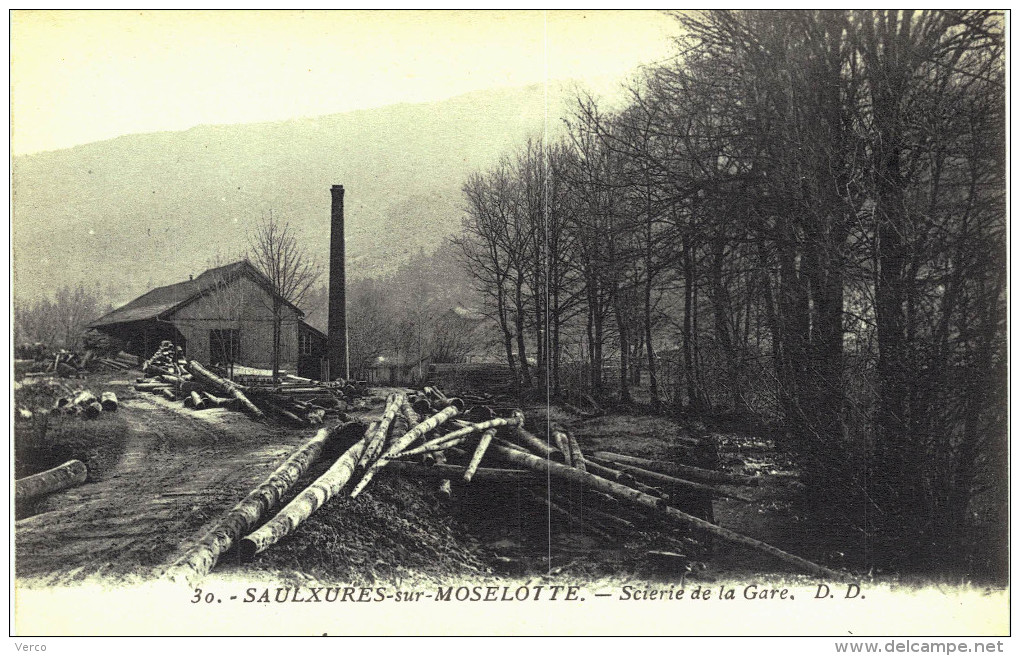 Carte Postale Ancienne de SAULXURES sur MOSELOTTE