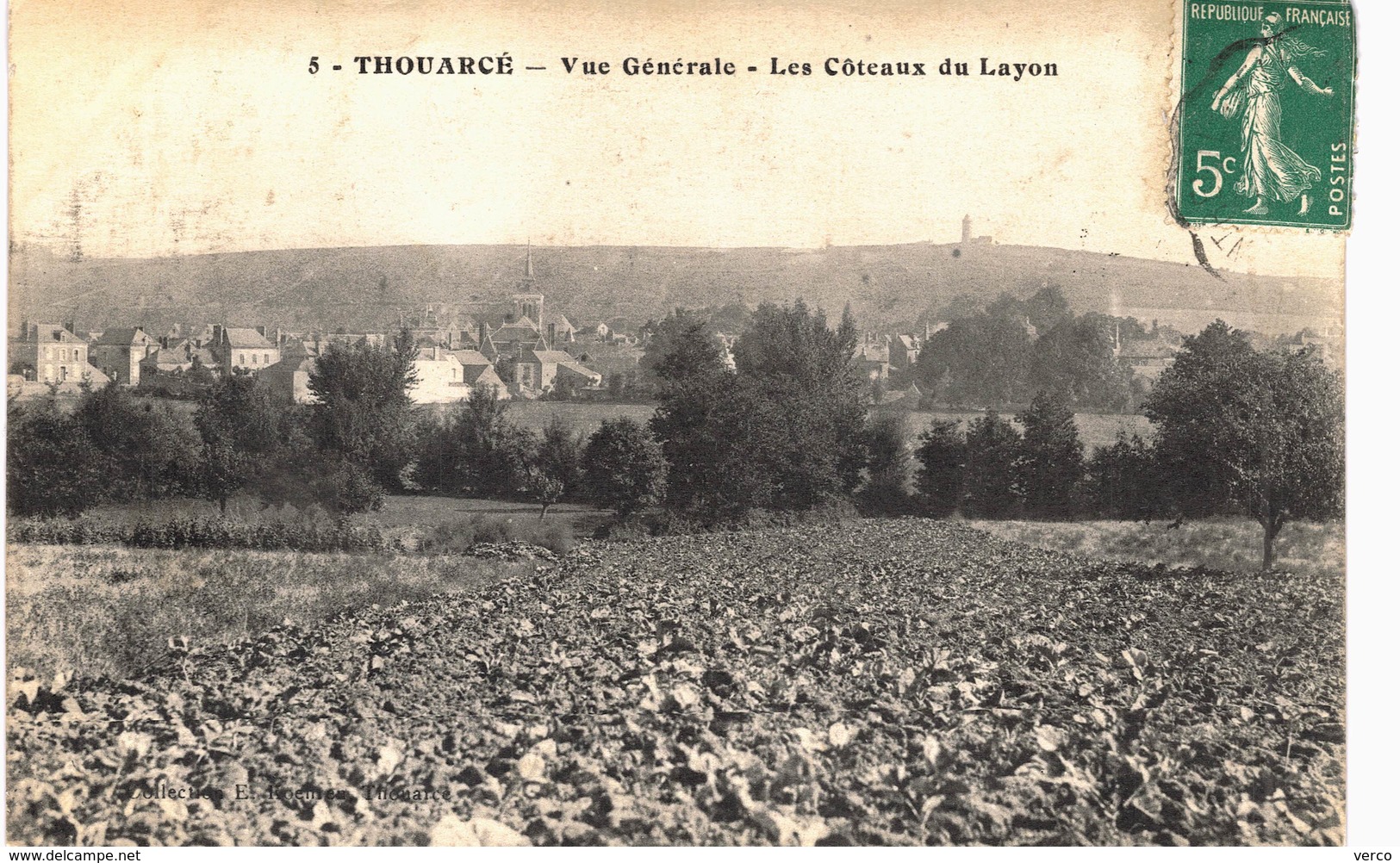 Carte postale ancienne de THOUARCE - Coteaux du Layon