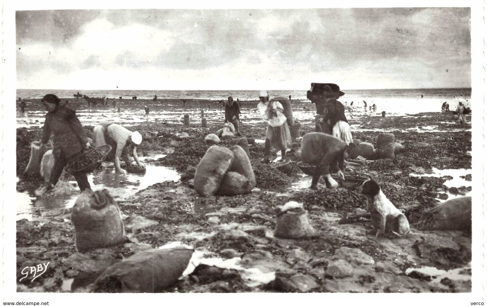 Carte POSTALE Ancienne de  VILLERVILLE - Parc à Moules