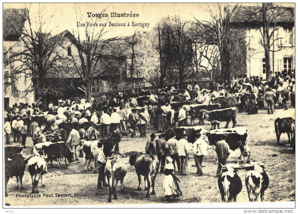 Carte Postale Ancienne de XERTIGNY