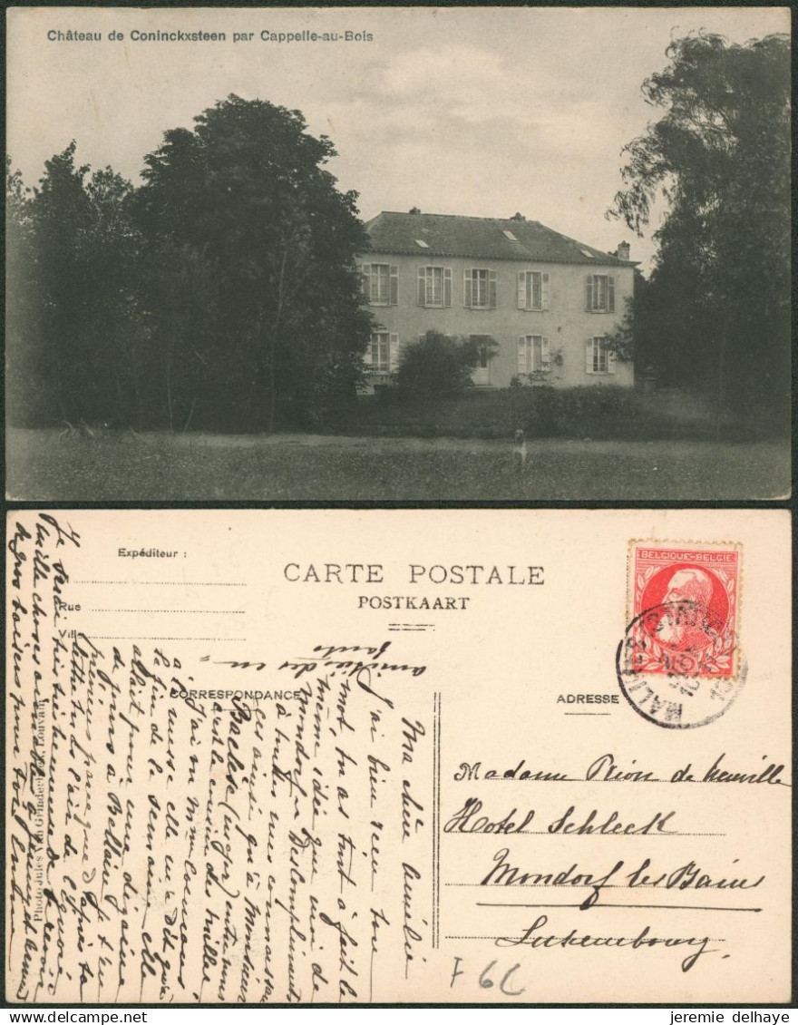 Carte postale (collection chateau / kasteel) - Chateau de coninckxsteen par capelle au bois