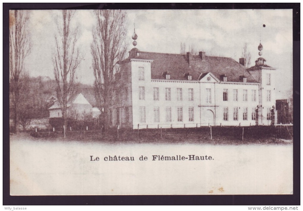 Carte Postale - Le château de FLEMALLE HAUTE - CPA  //