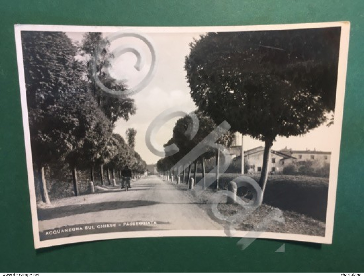 Cartolina Acquanegra Sul Chiese - Passeggiata - 1952