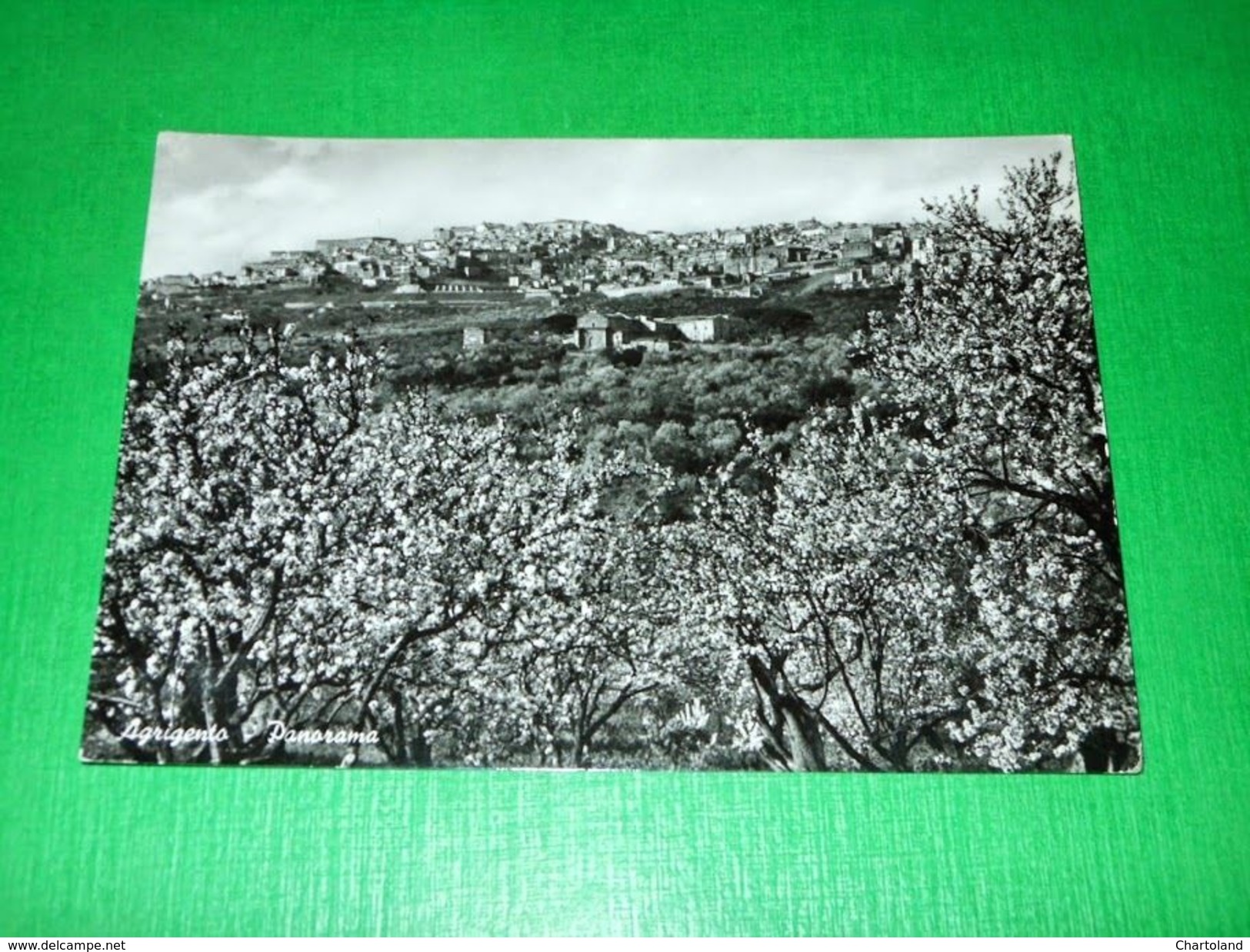 Cartolina Agrigento - Panorama 1955