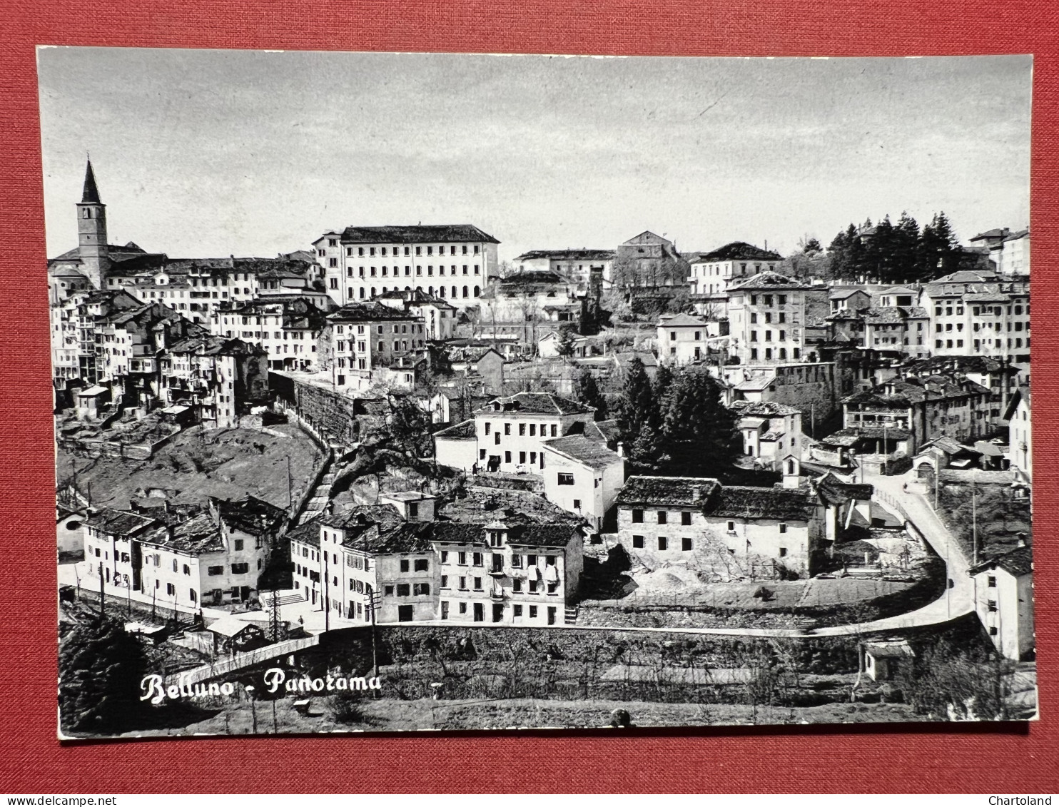 Cartolina - Belluno - Panorama - 1966