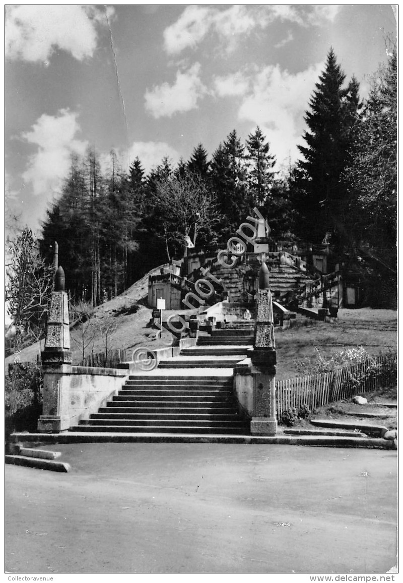 Cartolina Bondo Monumento ai Caduti 1969 (Trento)