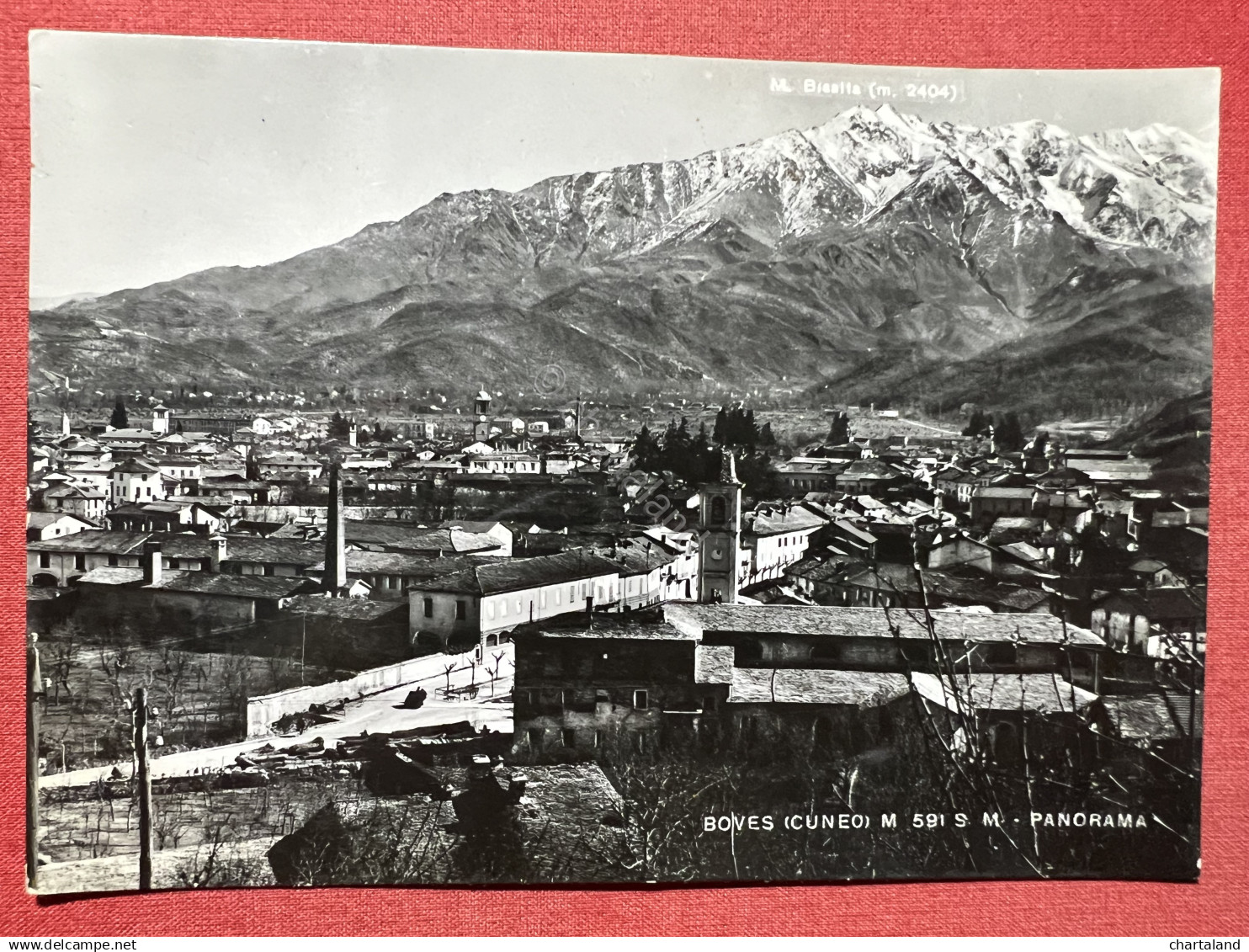 Cartolina - Boves ( Cuneo ) - Panorama - 1953