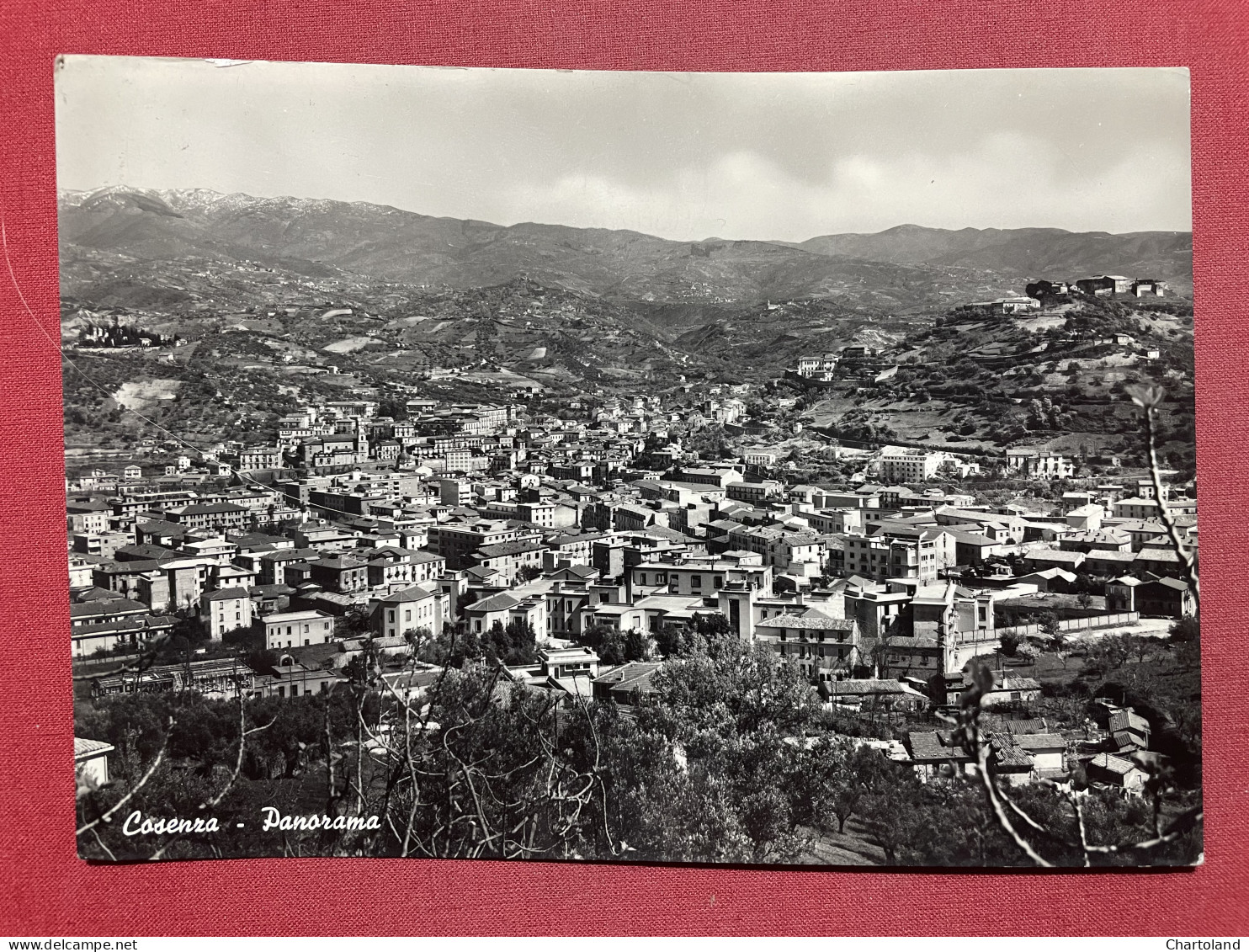 Cartolina - Cosenza - Panorama - 1958