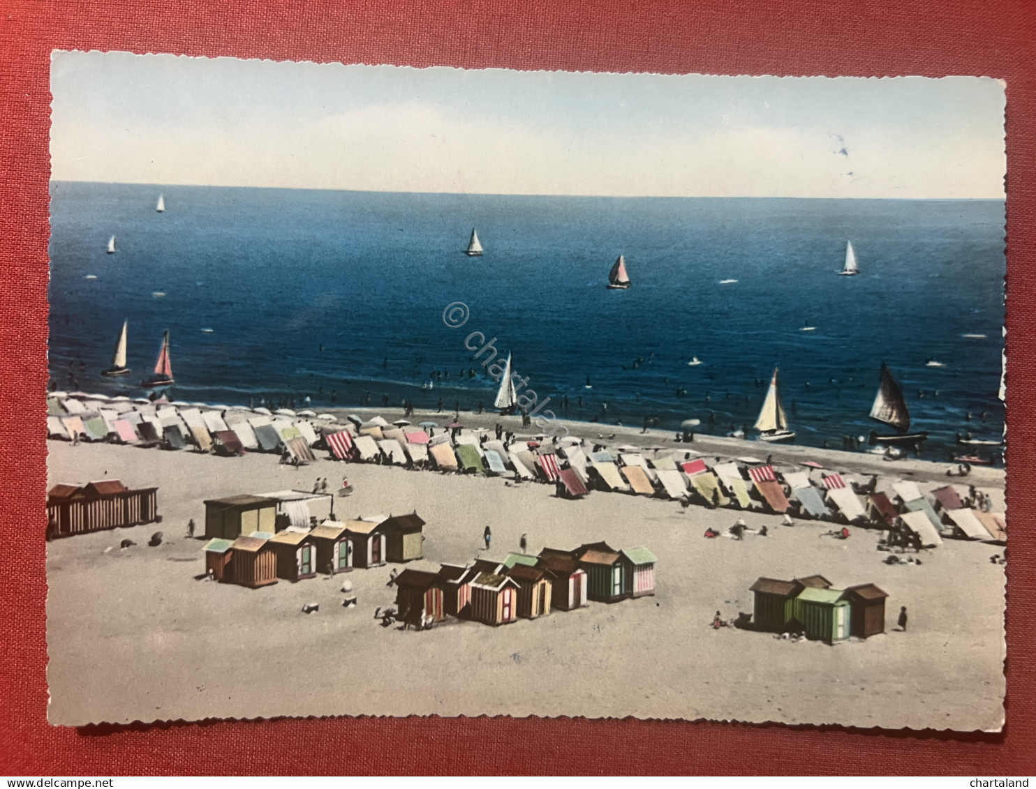 Cartolina - La Riviera di Rimini - Rimini - Panorama della Spiaggia - 1954