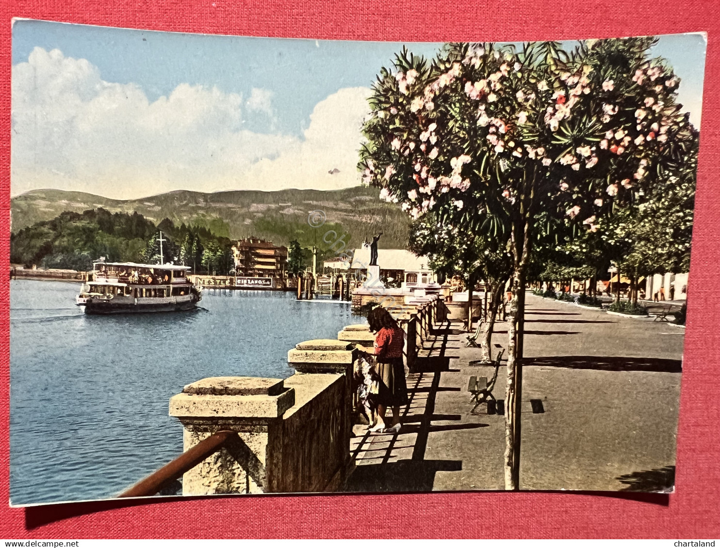 Cartolina - Lago Maggiore - Verbania - Intra - 1956