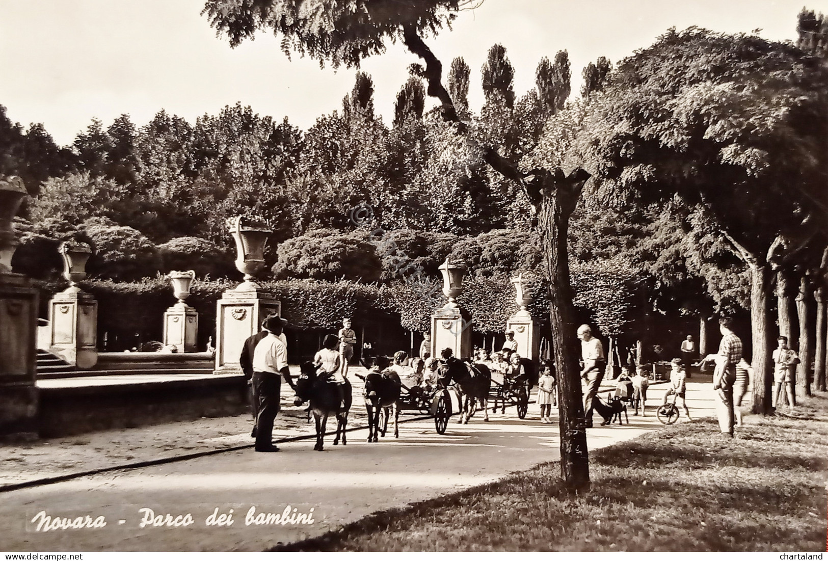 Cartolina - Novara - Parco dei Bambini - 1960