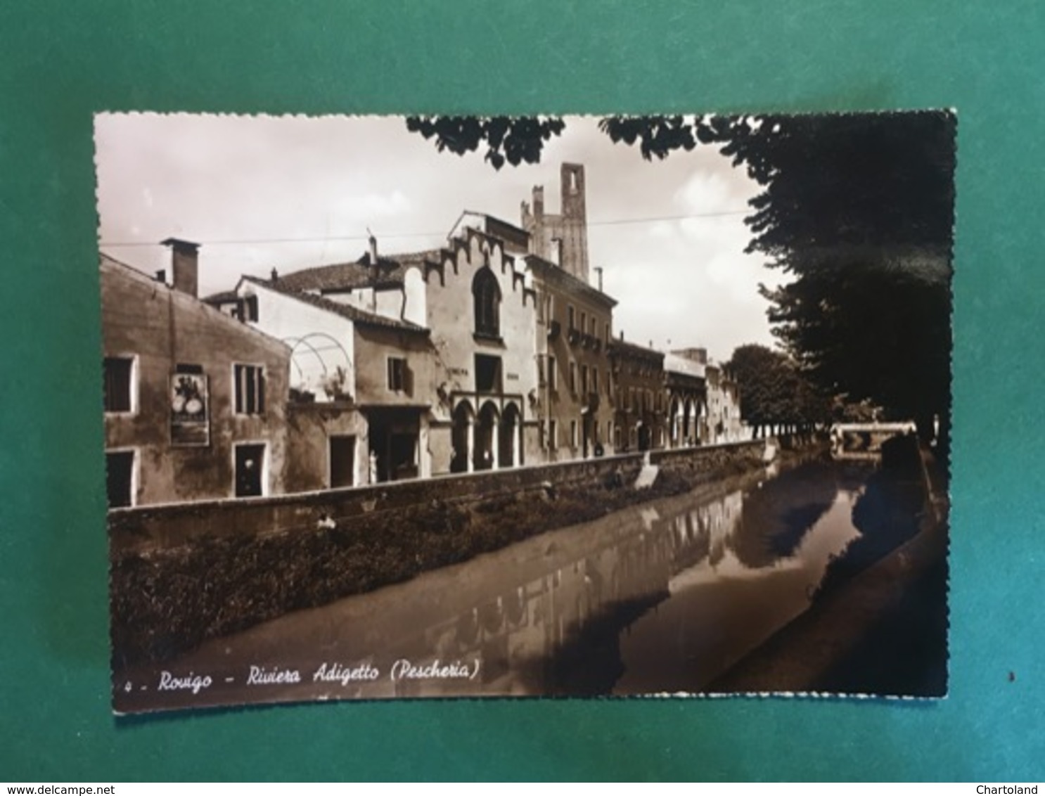 Cartolina Rovigo - Riviera Adriatica - Riviera Adriatica - Peschiera - 1951