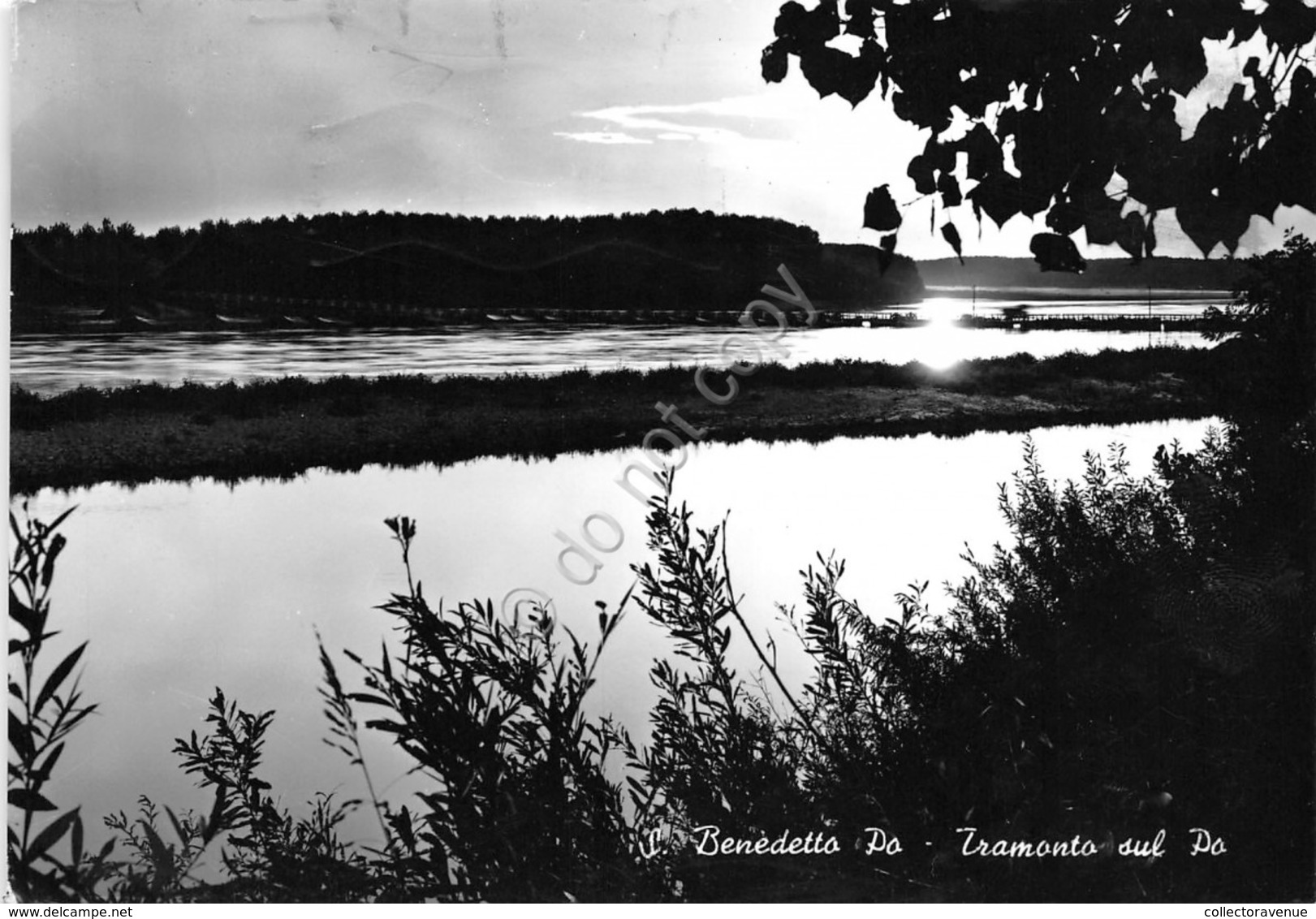 Cartolina San Benedetto Po tramonto su fiume Po  (Mantova)