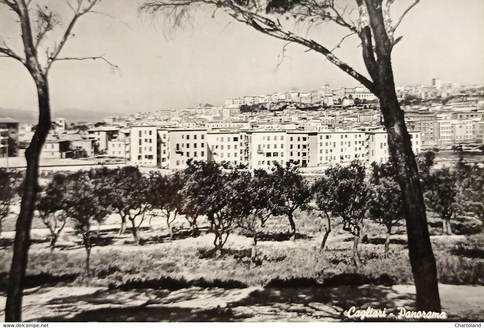 Cartolina Sardegna - Cagliari - Panorama - 1955