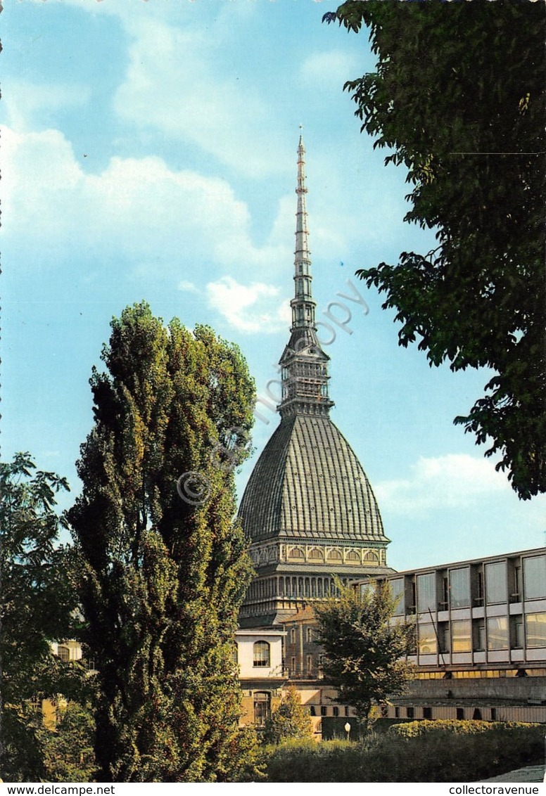 Cartolina Torino Mole Antonelliana