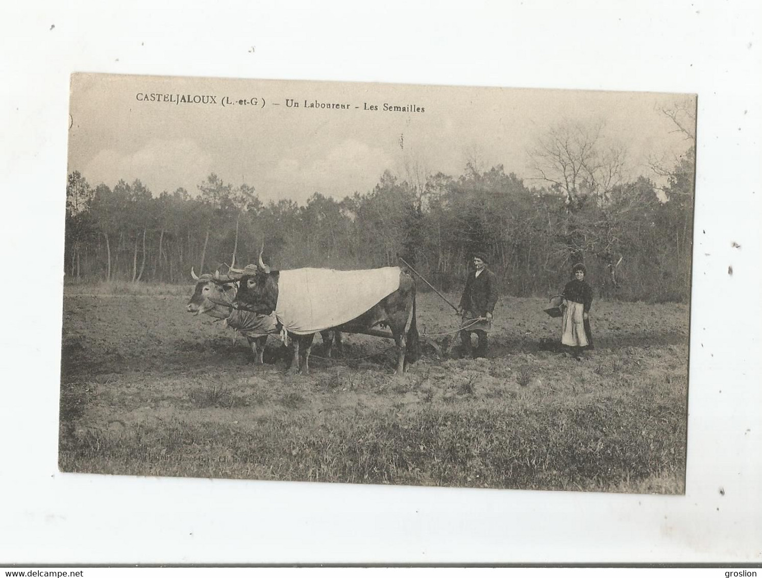 CASTELJALOUX (L ET G) UN LABOUREUR LES SEMAILLES  (ATTELAGE DE BOEUFS) 1916