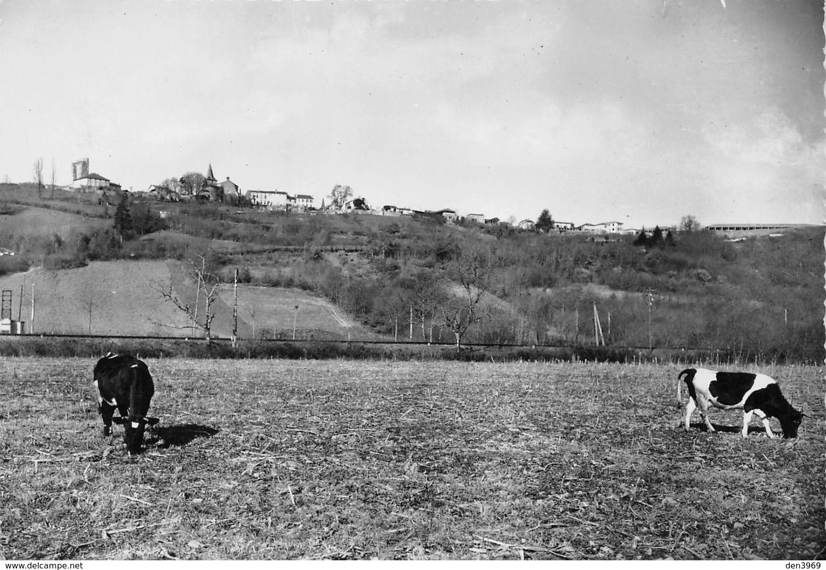 CASTELNAU-RIVIERE-BASSE - Vue Générale - Vaches