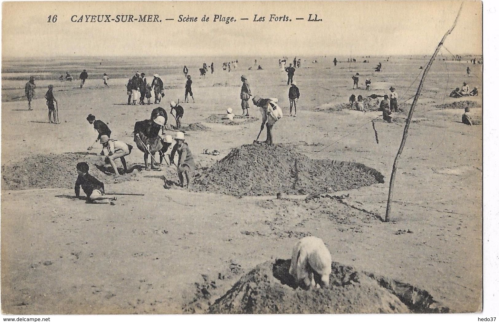 Cayeux-sur-Mer - Scène de Plage - Les Forêts