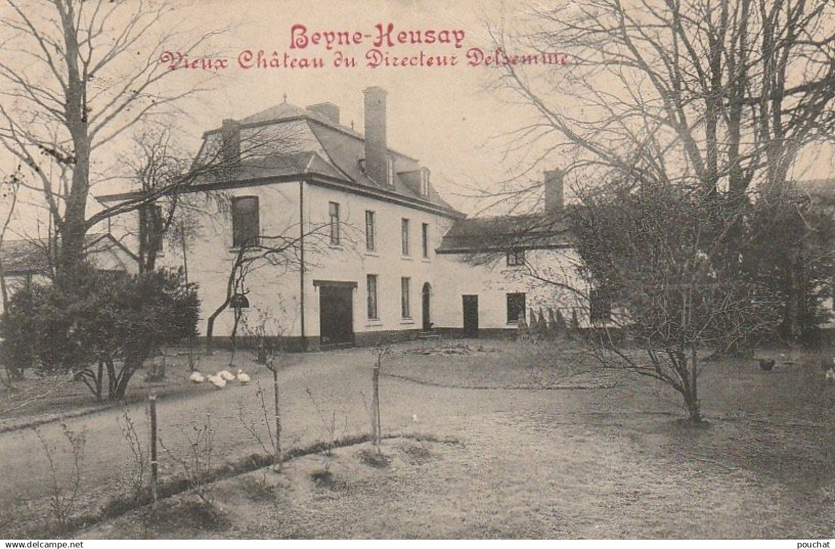 CE4 - BEYNE HEUSAY ( BELGIQUE ) -  VIEUX CHATEAU DU DIRECTEUR DELSEMME  -   2 SCANS