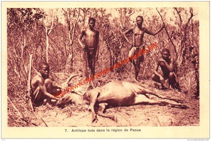 Antilope tuée dans la région de Paoua