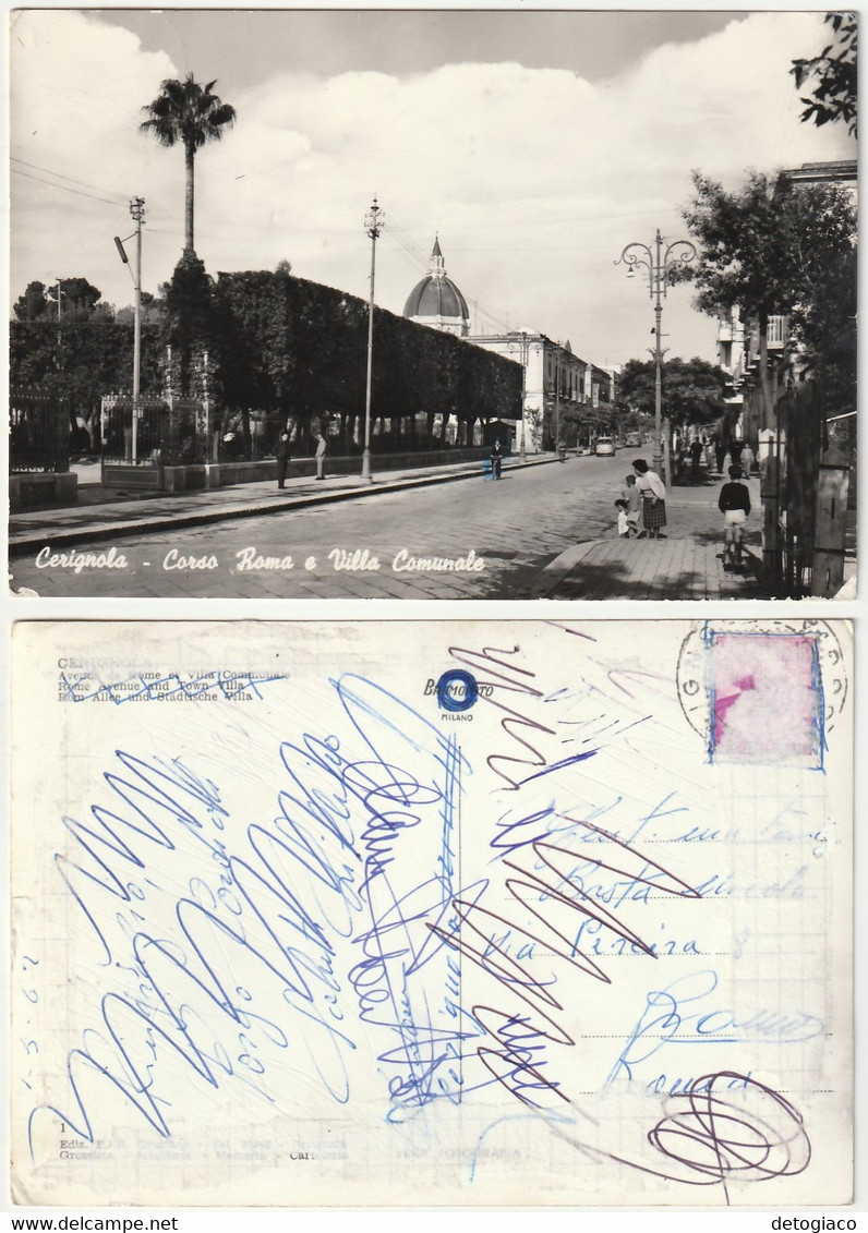 CERIGNOLA - FOGGIA - CORSO ROMA E VILLA COMUNALE - VIAGG. 1962 -53587-