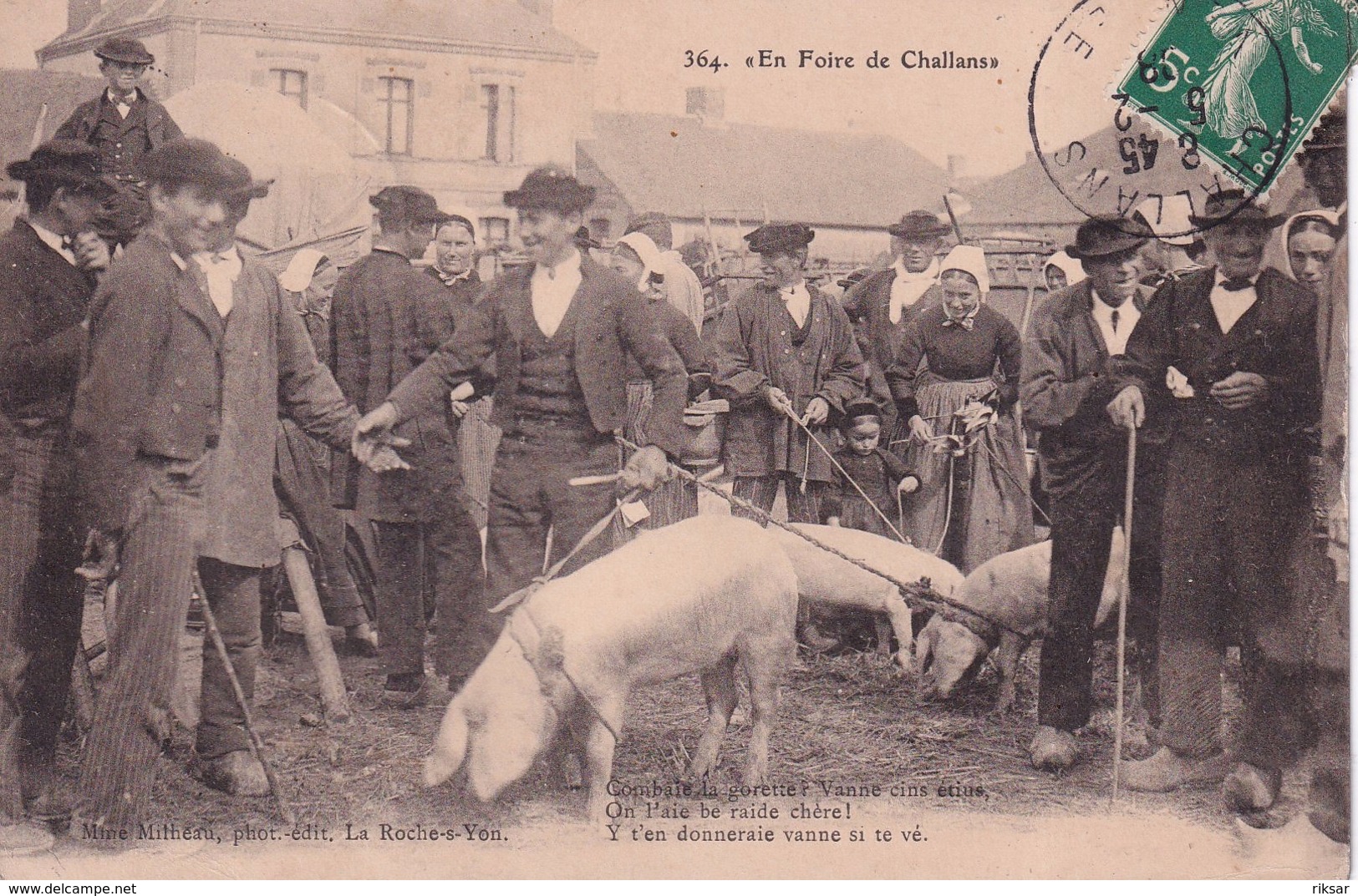 CHALLANS(FOIRE) COCHON