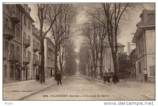 CHAMBERY L AVENUE DE SAVOIE ANIMEE