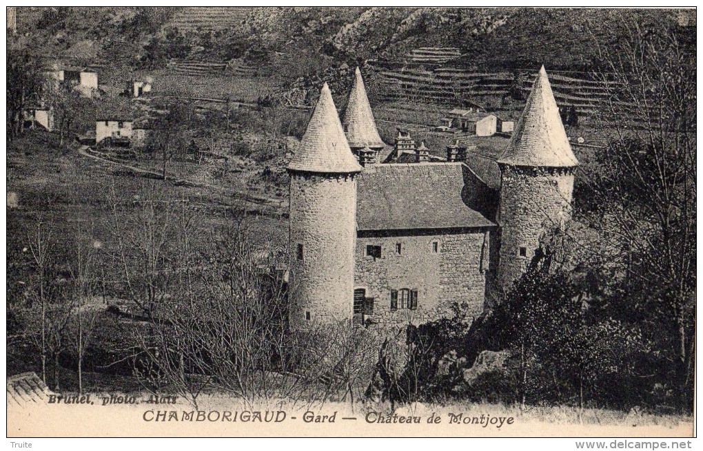 CHAMBORIGAUD CHATEAU DE MONTJOYE