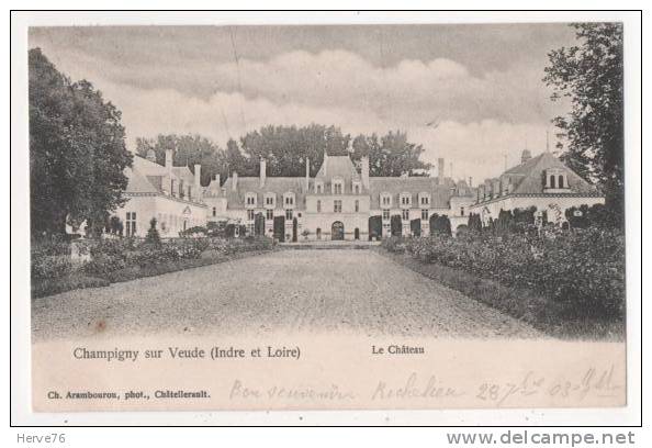 CHAMPIGNY SUR VEUDE - le château