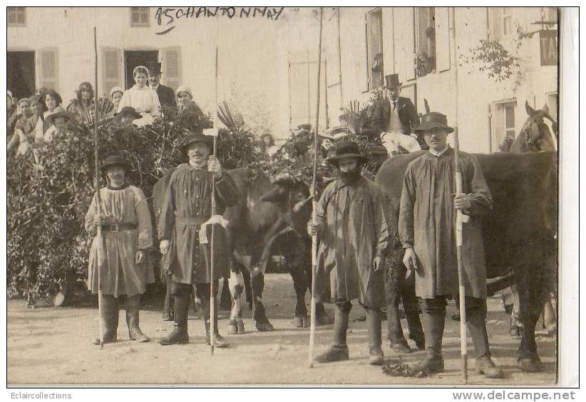 Chantonnay ?    85     Carte photo  cavalcade     Au dos Photo Robin Chantonnay