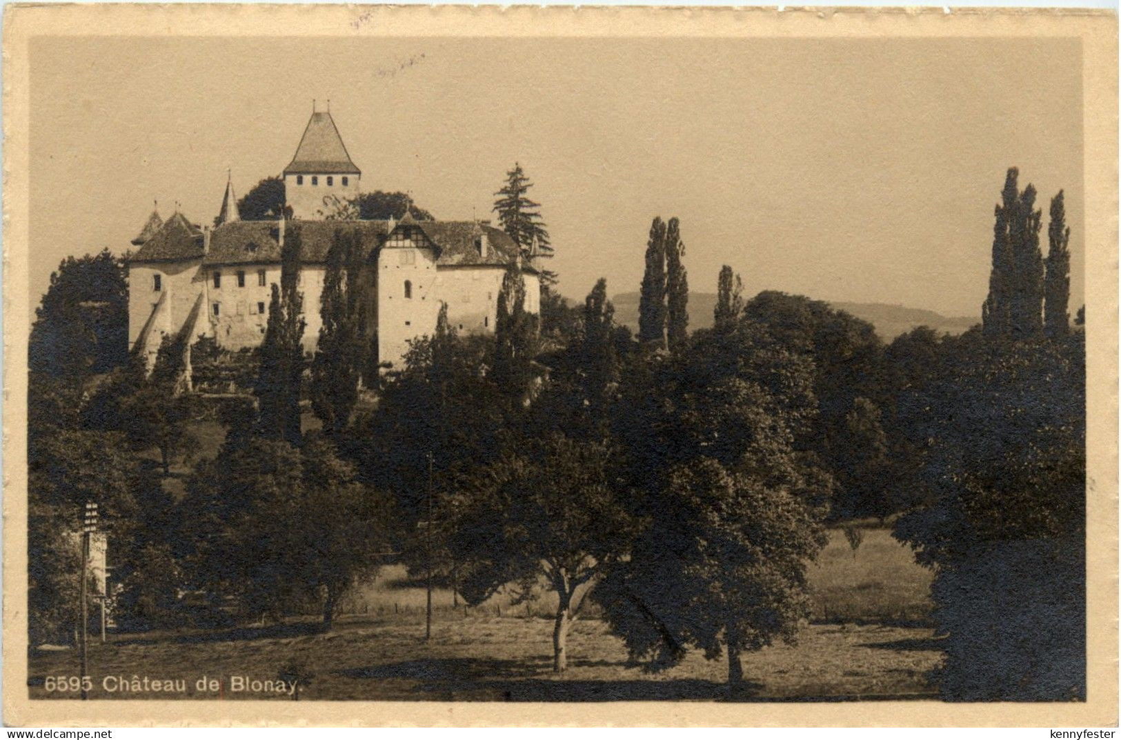 Chateau de Blonay