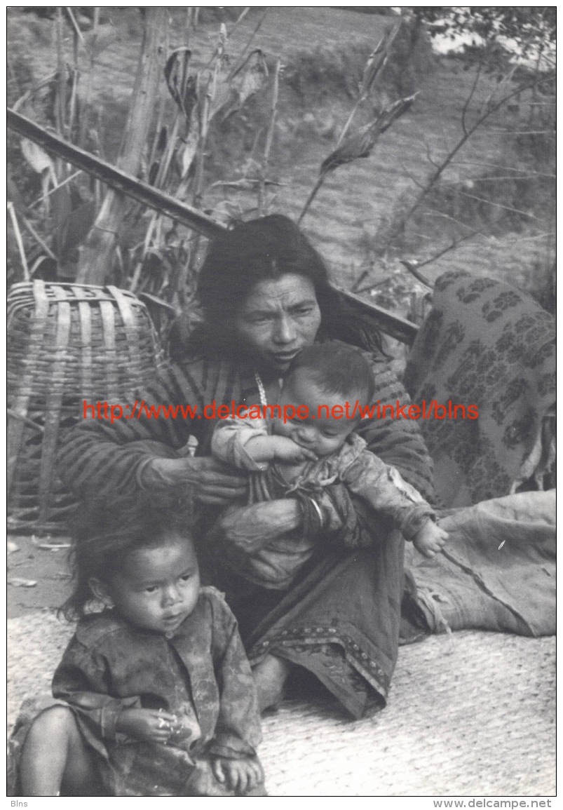 Children of the street - Shangrila - Nepal