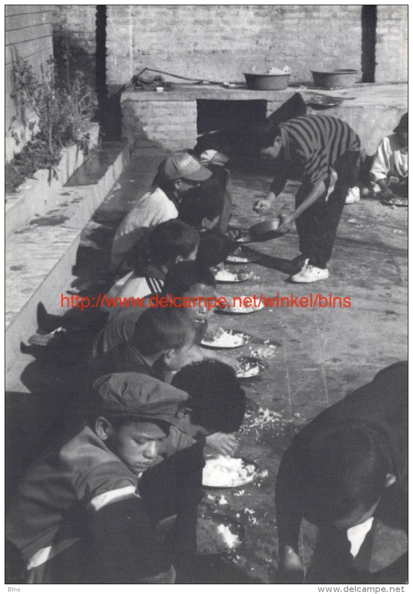 Children of the street - Shangrila - Nepal