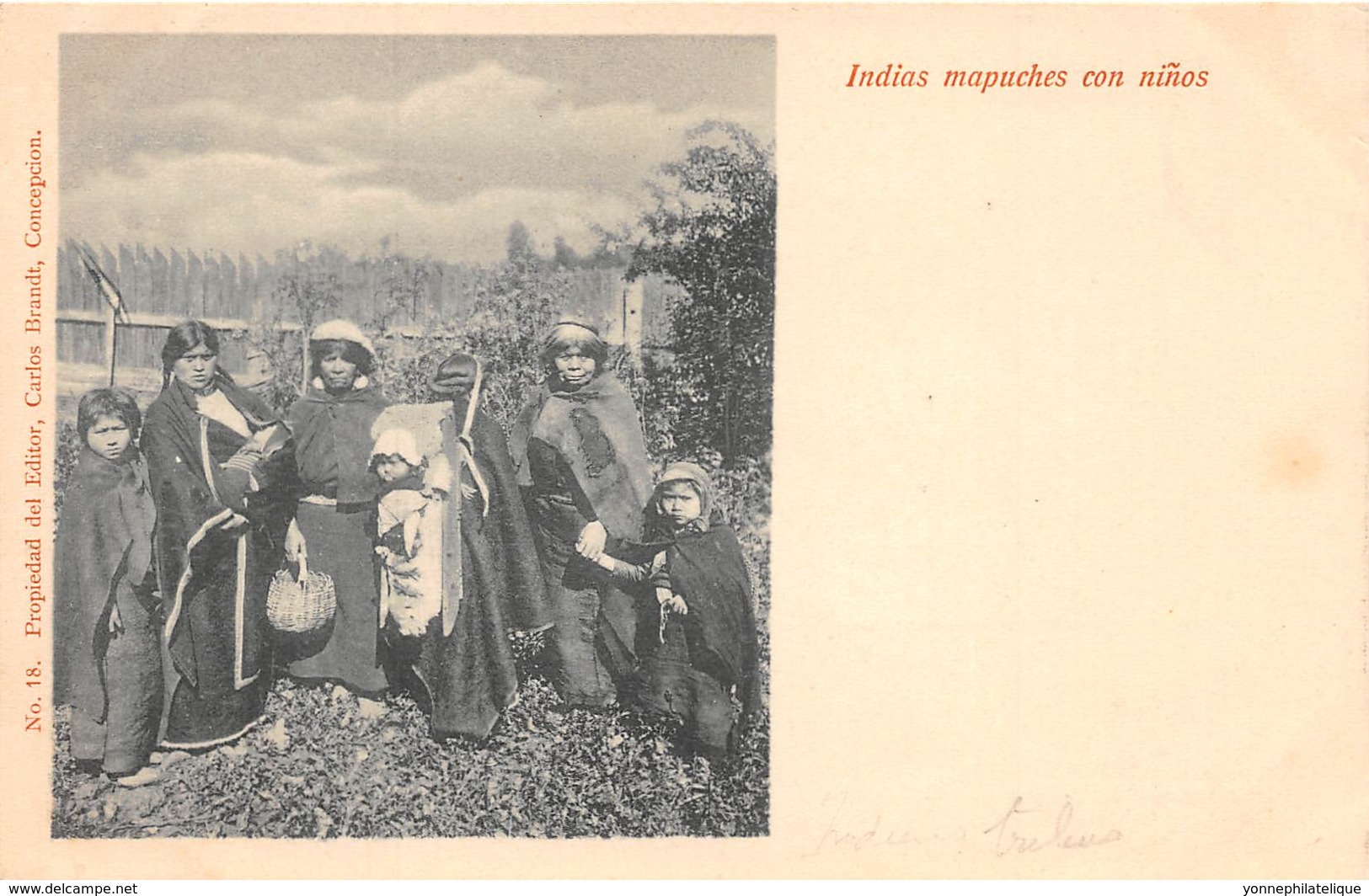 Chili - Ethnic H / 32 - Indias mapuches con ninos