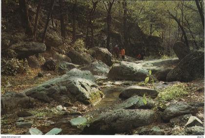 CPM AK PEKING Rivulet in Cherry Vale - Fragrance Hill Park CHINA (1297829)