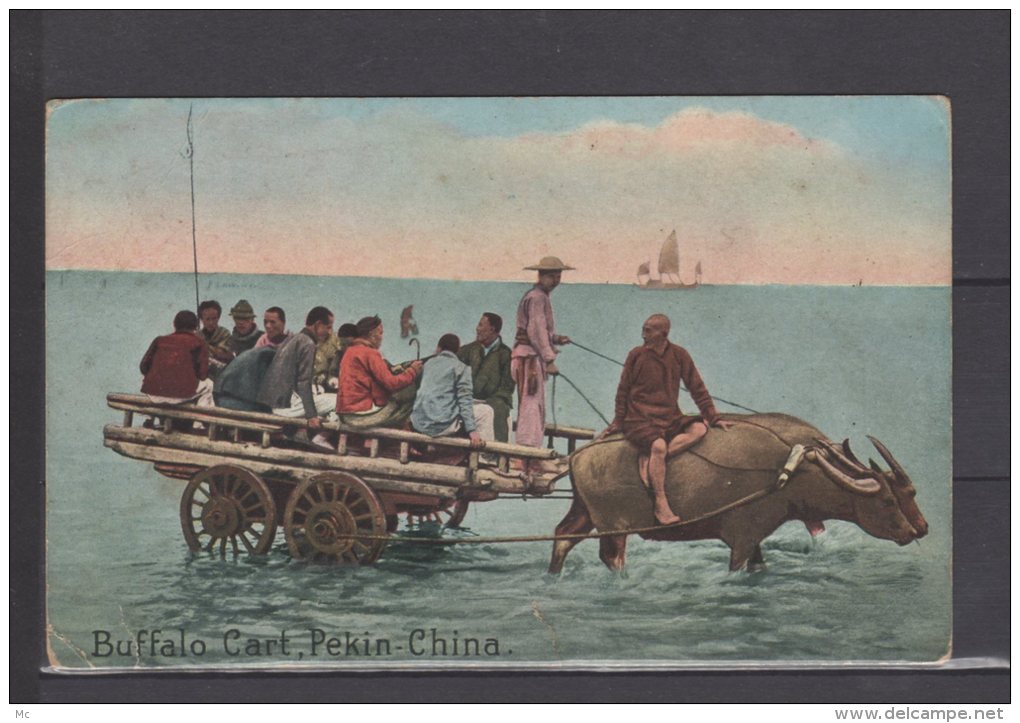 Chine - Pekin - Buffalo Cart